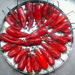 A picture of Red Chilli Pickle (instant).