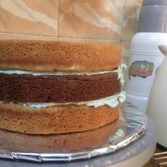 A picture of 8 inch cake.