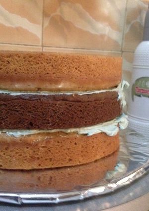 A picture of 8 inch cake.