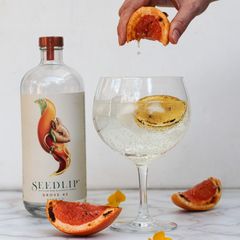 A picture of 🍊A ZESTY CLASSIC🍋.