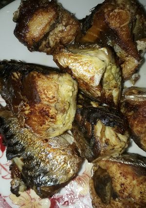 A picture of Fried Titus fish.