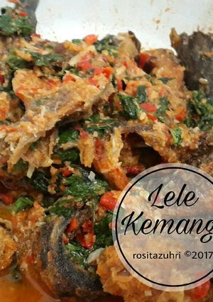 Foto resep Lele bumbu Kemangi