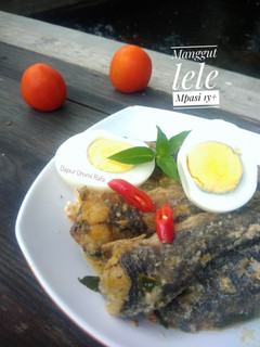 Foto resep Manggut Lele (Mpasi 1y+)