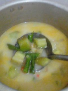 Foto resep Sayur Lodeh Terong Kacang Panjang