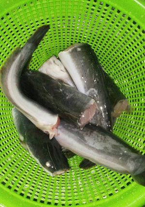 Foto resep Lele (Lendir Hilang)
