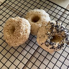 A picture of Oatmeal bagel (No oven, microwave 1min) GF DF EF NF.