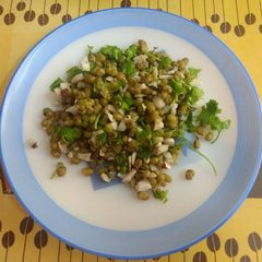 A picture of Green Moong Sundal.