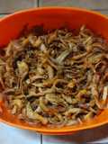 Tumis Kering Jamur Tiram (pastinya SIMPLE 👌)