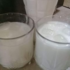A picture of Lassi.