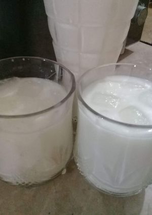 A picture of Lassi.