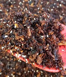 ruốc nấm hương