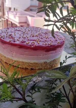 ચીઝ કેક (Cheese Cake Recipe In Gujarati) રેસીપી મુખ્ય ફોટો