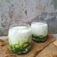 Es Agar-agar Matcha
