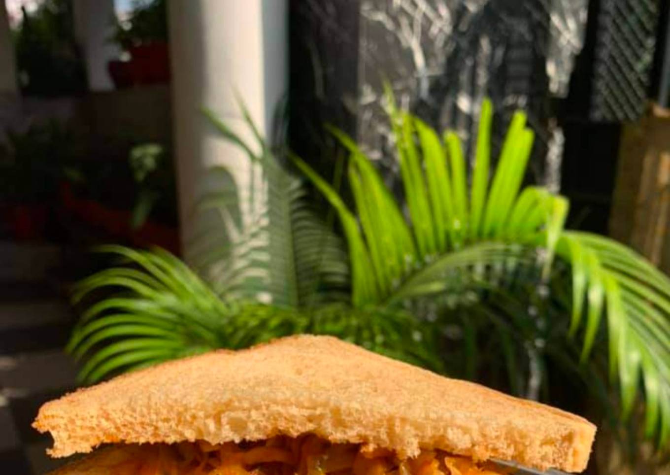 Easy Peasy Cabbage Sandwich