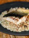 Risotto al Branzino e Champignons con Bottarga di Tonno