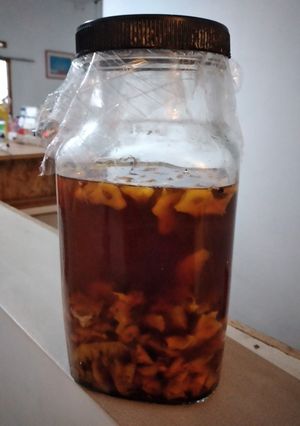 Foto resep Tepache Kulit Nanas