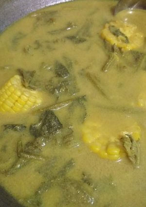 Foto resep Gulai pucuk labu