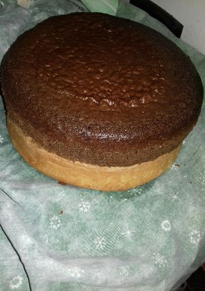 Una foto de Bizcochuelo de chocolate y vainilla en lata de dulce