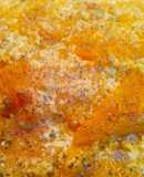 Calabaza gratinada