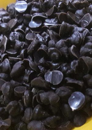 A picture of Chocolate chips.