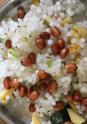 સાબુદાણાની ખીચડી (Sabudana Khichdi Recipe In Gujarati) રેસીપી મુખ્ય ફોટો