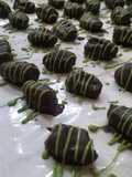 Kurma Coklat
