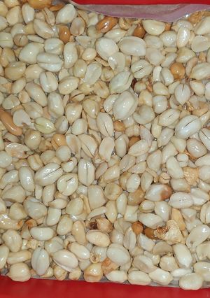 Foto resep Kacang klici