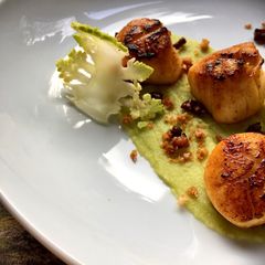 A picture of Pan seared scallops and roe emulsion.