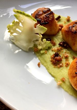 A picture of Pan seared scallops and roe emulsion.
