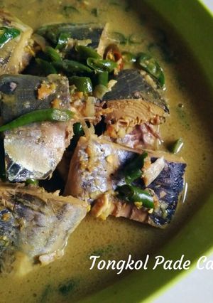 Foto resep Tongkol Pade Cabai Hijau
