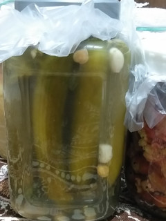 عکسی از دستور خیارشور خونگی 😍