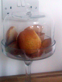 A picture of Hammys CupCakes.