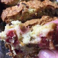 A picture of Cranberry Orange Bread.
