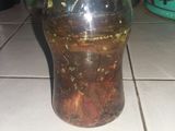 Tomates secos en aceite 🍅