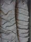 Strudel de manzana