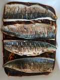 Omikuji Mackerel soused in Nanban
