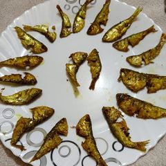 A picture of Small fish fry.