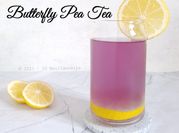 Gambar minuman bunga telang lemon