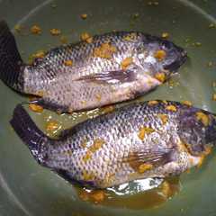 Bumbu marinasi ikan nila / mas রেসিপির প্রধান ছবি