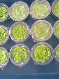 Foto resep Tape ketan ijo