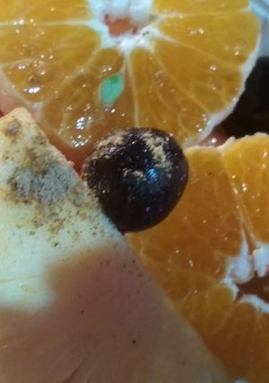 A picture of Fruit chat.