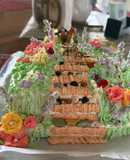 Vườn Hoa Mùa Xuân