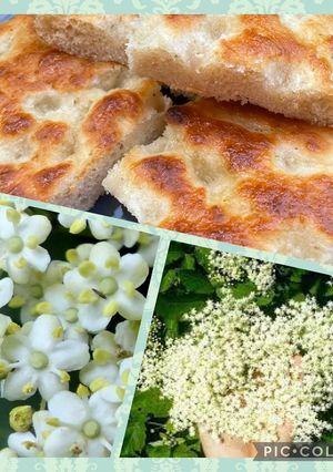 Foto di 116 • Focaccia dolce coi fiori di sambuco ❤️