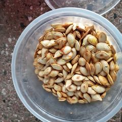 A picture of Roasted pumpkin seeds.