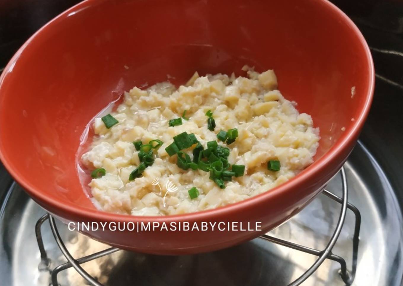 22. MPASI Tim Tofu Daging anti GTM