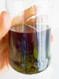 Extracto natural de menta (Ideal para sustituir la esencias artificiales)