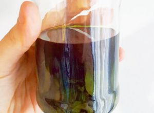 Una foto de Extracto natural de menta (Ideal para sustituir la esencias artificiales)