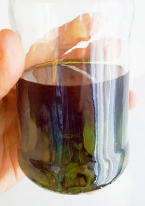 Una foto de Extracto natural de menta (Ideal para sustituir la esencias artificiales)