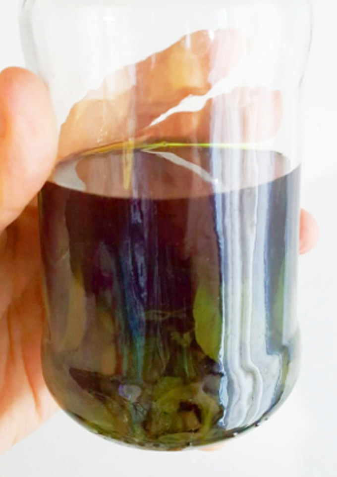 Una foto de Extracto natural de menta (Ideal para sustituir la esencias artificiales)