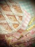 Pastiera